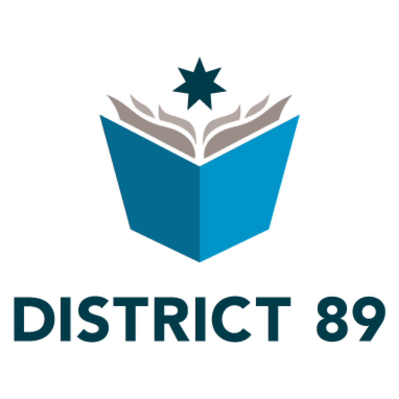 School District 89 Logo